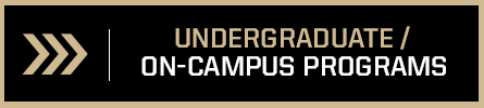Undergraduate / On-campus Programs