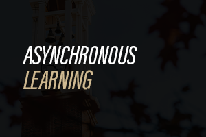 Asynchronous Learning