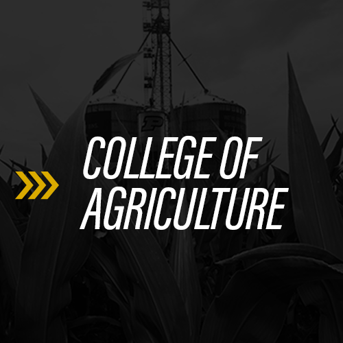 College of Agriculture
