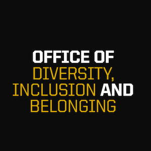 Office of Diversity, Inclusion and Belonging
